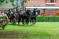 IMG_7685